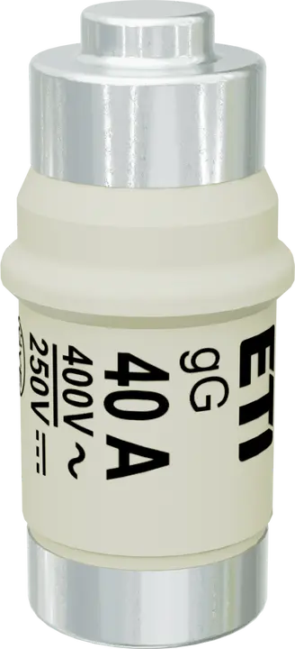 Image of D02 gG 40A/400V
