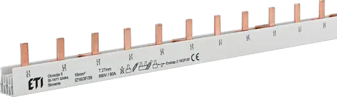 IZS16/3F/39