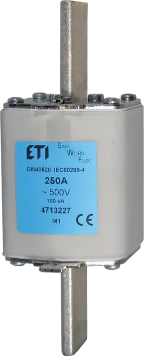 Image of NH1 SWF 63A/500V