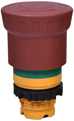Image of NSE-PBM-T-RG
